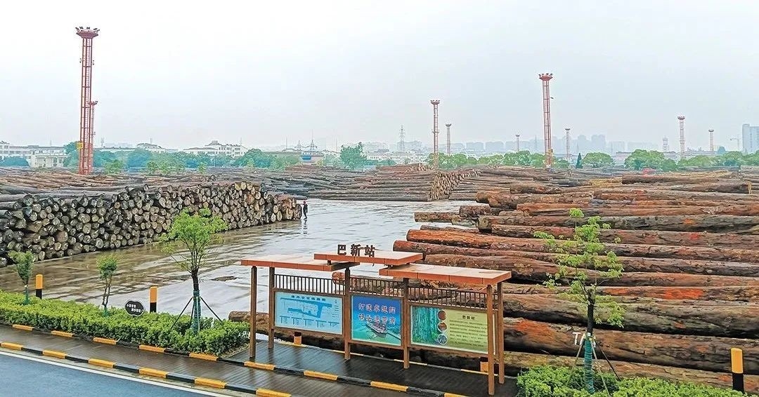 共建“一带一路”助力木质林产品贸易高质量发展